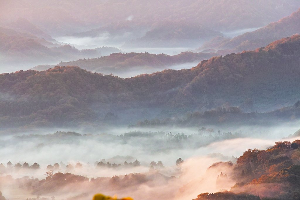 🏞️ 가노산 아흔아홉계곡 전망 공원(카노우잔 쿠주쿠타니 텐보코엔) 이미지 2